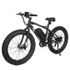 Ecotric Factory Supply Snow E Cycle Electric Bike Bicycle Classic E Bicycle for Adult