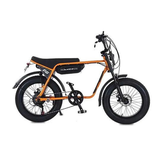 STLF US Warehouse Wholesale Low Price 20inch Fat Tire E-bike Electric City Bike Full Suspensions 48V 750W Velo Electrique for Me