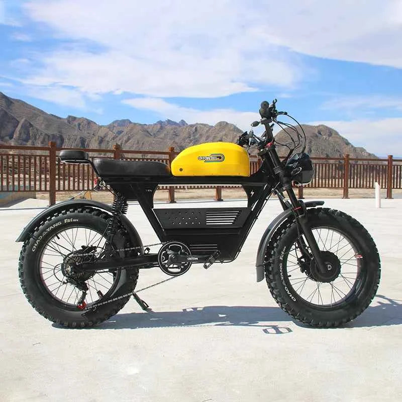 SXLL New Akez 20-inch Fast Ebike Dual Motor 3000W Fat Tire 48v Electric Sports Electric Off-Road Vehicle