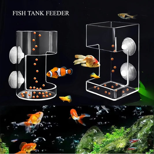 Anello Galleggiante per Alimentazione Pesci – Vassoio con Ventose per Acquario